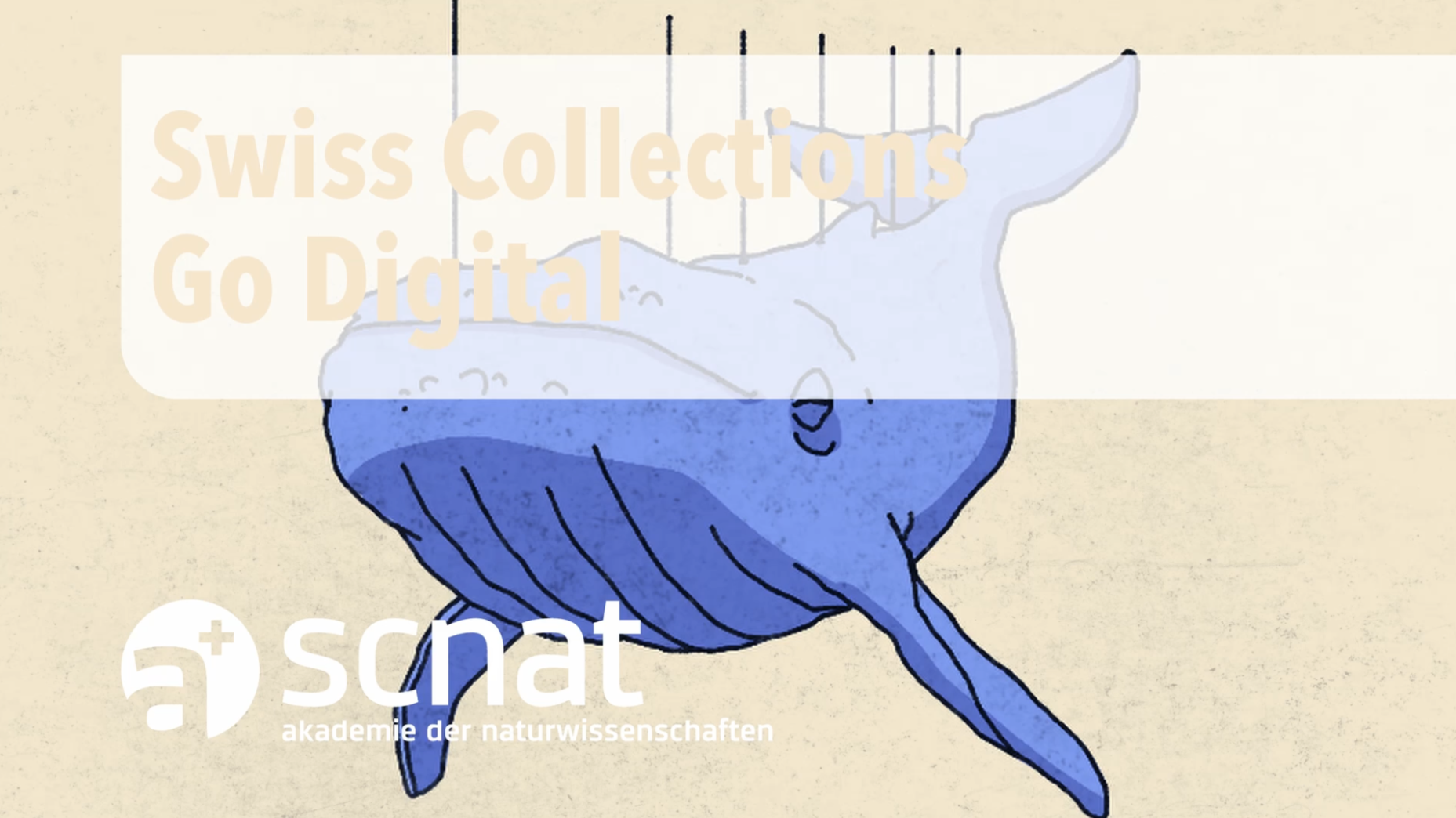 Swiss Collections Go Digital movie